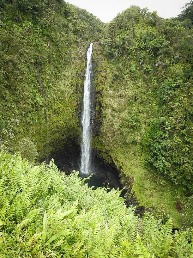 Humble Home In Hawaii Ainaloa Екстер'єр фото